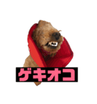 うちの愛犬 ViVi（個別スタンプ：2）