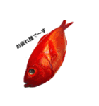 がっき〜のお魚スタンプ（個別スタンプ：2）