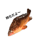 がっき〜のお魚スタンプ（個別スタンプ：8）