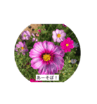 花ばかりスタンプ（個別スタンプ：4）