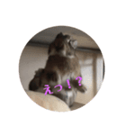 江太郎スタンプ（個別スタンプ：5）