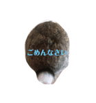 江太郎スタンプ（個別スタンプ：7）