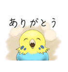 インコのきぃちゃん（個別スタンプ：6）