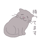 毎日にねこさんを（個別スタンプ：2）