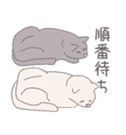 毎日にねこさんを（個別スタンプ：4）