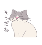 毎日にねこさんを（個別スタンプ：5）