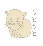 毎日にねこさんを（個別スタンプ：7）