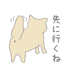 毎日にねこさんを（個別スタンプ：9）
