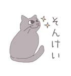 毎日にねこさんを（個別スタンプ：11）