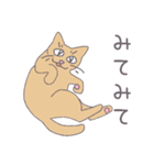 毎日にねこさんを（個別スタンプ：12）