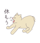 毎日にねこさんを（個別スタンプ：15）