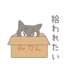 毎日にねこさんを（個別スタンプ：16）