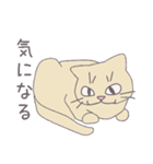 毎日にねこさんを（個別スタンプ：22）