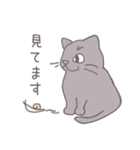 毎日にねこさんを（個別スタンプ：24）