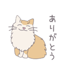 毎日にねこさんを（個別スタンプ：28）