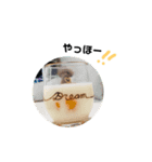 トイプードル＊蒼空(そら)＊5（個別スタンプ：1）