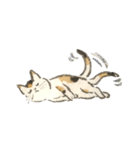 作家・諸橋精光の猫達（個別スタンプ：7）