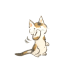 作家・諸橋精光の猫達（個別スタンプ：8）