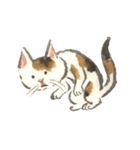 作家・諸橋精光の猫達（個別スタンプ：12）