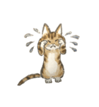 作家・諸橋精光の猫達（個別スタンプ：16）