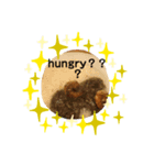 hungry？（個別スタンプ：4）