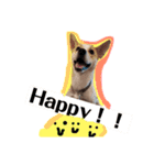 大好きペット！身内編①（個別スタンプ：3）