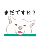 敬語な白柴犬（個別スタンプ：10）