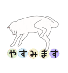 敬語な白柴犬（個別スタンプ：22）