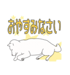敬語な白柴犬（個別スタンプ：24）