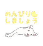 敬語な白柴犬（個別スタンプ：28）