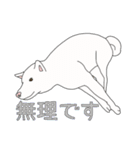 敬語な白柴犬（個別スタンプ：35）