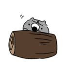 ウォンバット3（個別スタンプ：3）