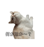 JBの気持ち（個別スタンプ：7）