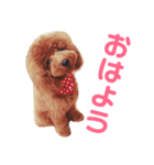 りんちゃんだいすき（個別スタンプ：2）
