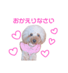 りんちゃんだいすき（個別スタンプ：3）