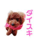 りんちゃんだいすき（個別スタンプ：8）
