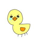 ピヨ三郎（個別スタンプ：4）