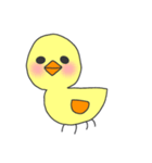 ピヨ三郎（個別スタンプ：5）