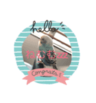 ゆるかわ子犬（個別スタンプ：1）
