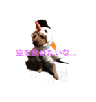 ゆるかわ子犬（個別スタンプ：4）