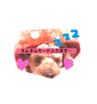 ゆるかわ子犬（個別スタンプ：8）