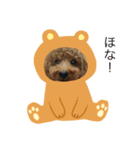 ゆずトイプー（個別スタンプ：8）