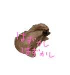 ウィルのきもち。②（個別スタンプ：3）