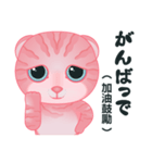 サイナイ猫-令和（日本語と中国語の対照）（個別スタンプ：4）