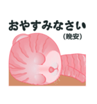 サイナイ猫-令和（日本語と中国語の対照）（個別スタンプ：15）