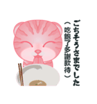 サイナイ猫-令和（日本語と中国語の対照）（個別スタンプ：19）