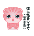 サイナイ猫-令和（日本語と中国語の対照）（個別スタンプ：24）