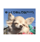 来空ちゃん第二弾（個別スタンプ：7）