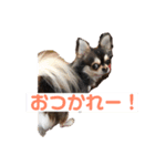 ジェリー0520( ¨̮ )（個別スタンプ：4）