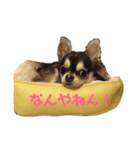 ジェリー0520( ¨̮ )（個別スタンプ：7）